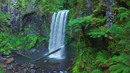 Wall Mural - Rainforest waterfall tropical nature. Hopetoun falls in Australia Victoria