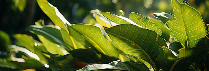 Poster - beautiful botanical shot of leaves
