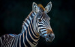 Close up of zebra face on dark background. Generative AI
