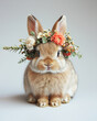 Cute bunny wearing a wreath, crown of pink and white flowers