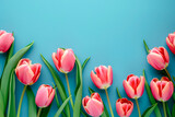 Fototapeta Tulipany - Top view of spring tulip flowers arranged on a blue background in flat lay style, creating a vibrant and festive greeting for Women's Day, Mother's Day, or a Spring Sale banner.