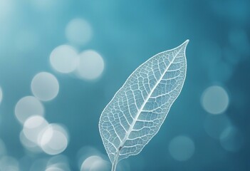  Beautiful white skeletonized leaf on light blue background with round bokeh Expressive artistic imag