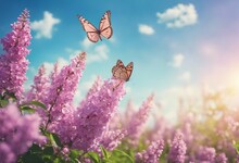 Floral Spring Natural Landscape With Wild Pink Lilac Flowers On Meadow And Fluttering Butterflies On