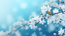 Selective Focus Of Beautiful Branches Of White Cherry Blossoms On The Tree Under Blue Sky, Beautiful Sakura Flowers During Spring Season In The Park, Floral Pattern Texture, Nature Background.