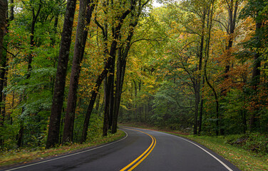 Wall Mural - A Stunning view to the road of autumn