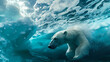 Beneath the ice bear