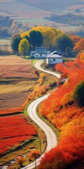 Poster - Winding Road Through Colorful Autumn Trees