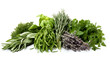 Essentials herbs photography high detail isolated white by background AI Image generative