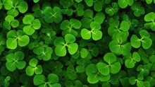 St. Patrick`s Day Background, Green Clover Background