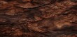 Seamless tree bark background texture closeup.