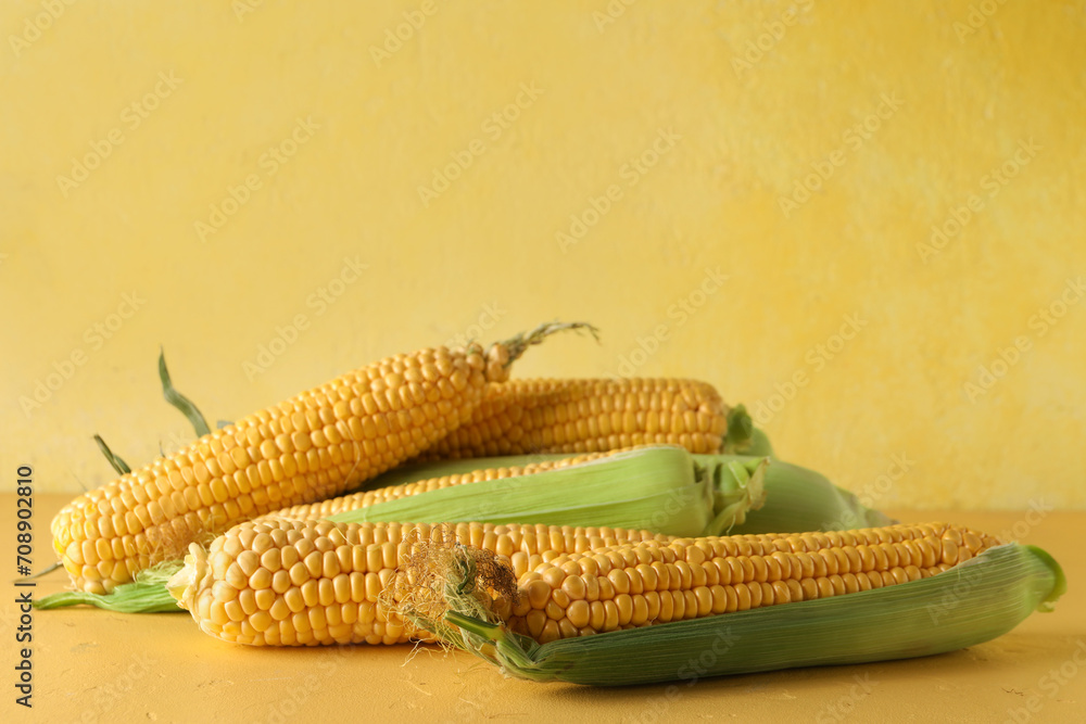 Fresh corn cobs on yellow background