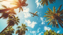 An Airplane Flying Above A Blue Sky Palm Trees, Tropical Landscapes, Travel, Vacation