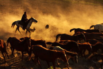 Canvas Print - Cowboy_5