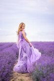 Fototapeta Kwiaty - beautiful woman in a lush lilac dress in a field of lavender. A walk in Provence