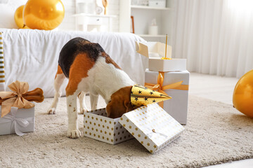 Sticker - Cute dog with party hat and birthday gifts at home