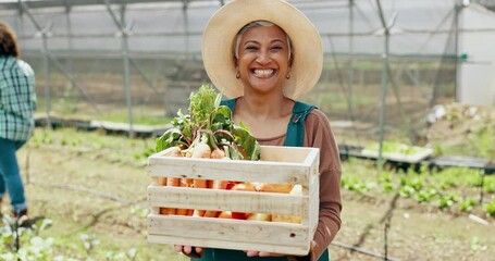 Wall Mural - Farming, vegetables and mature woman with box in greenhouse for agriculture or supply chain. Smile, produce and portrait of female farmer with crate for gardening sustainable food in environment.