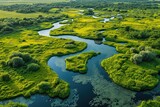 Fototapeta Las - Serpentine Sanctuaries: A Whimsical Aerial Panorama