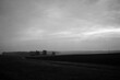 © Patrycja - Droga, Czarno Biały, Nostalgia, Śmierć, Koniec drogi, Drzewa, Mrok, Przytłoczenie, Smutek, Mgła, Mgliście, Mglisto, Cicho, Pola,
