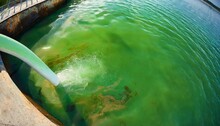Dirty Green Chemical Polluted Water Flows Into The River The Lake The Sea From The Pipe Top View Environmental Pollution Ecological Catastrophe