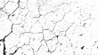 old wall background, a black and white vector of a cracked wall cracked cracked texture background, texture crack texture soil fractured texture cracks mud limestone concrete texture clay dried dusty 