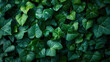 Emerald Elegance: A Rich Green Background with Elegant Vines and Luxuriant Foliage, Symbolizing Growth and Renewal