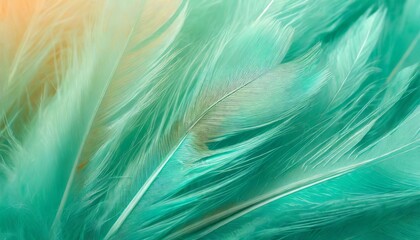 Wall Mural - beautiful green turquoise color trends feather texture background with orange light