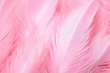 Pink Feather Pattern Texture Background