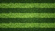 Green grass texture on striped sport field. Astro turf pattern. Carpet or lawn top view. Baseball, soccer, football or golf game. Fake plastic or fresh ground for game play 