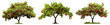 Set of orchard trees with ripe red apples, cut out
