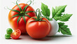 © drizzlingstarsstudio - A realistic image of a fresh tomato set apart against a white background