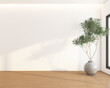 Modern japan style empty room decorated with white wall and wood floor. there are morning light and indoor plant. 3d rendering
