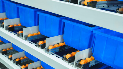 Fototapete - Blue plastic boxes in modern distribution warehouse, logistics concept background