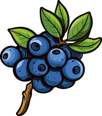 Wall Mural - Blueberries clipart design illustration