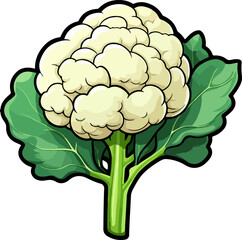 Cauliflower clipart design illustration