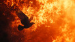 Silhouette of a dove against the background of fire.