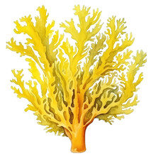 Yellow Watercolor Ocean Coral
