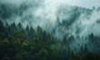 Enigmatic Forest Fog: Atmospheric Textured Landscape Paintings with Mountainous Vistas and Tree-Covered Scenery