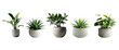 © TANATPON - Set of Green plants in potted for interior decoration isolated on transparent png background, Houseplant for decorated in bedroom or living room, minimal natural health concept.