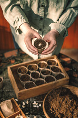 Sticker - Spring gardening and sowing. Planting pumpkin seeds for germination into biodegradable peat pots