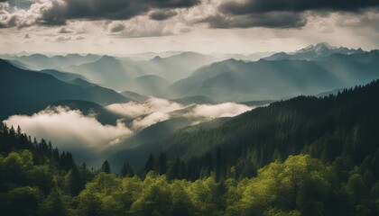 Wall Mural - Amazing wild nature view of layer of mountain forest landscape with cloudy sky. 