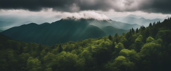 Wall Mural - Amazing wild nature view of layer of mountain forest landscape with cloudy sky. 