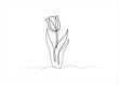 Vector, abstract drawing of a tulip flower with a continuous line. The outline is a hand-drawn sketch of a flower with leaves.