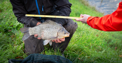 Poster - person with a fish