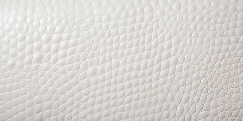 background made of white leather