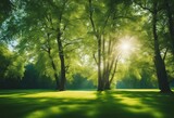 Fototapeta Panele - Beautiful bright colorful summer spring landscape with trees in Park juicy fresh green grass on lawn
