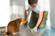 © scharfsinn86 - Man is repairing the floor in the house, laminate flooring. Red cat is watching