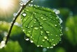 Large beautiful drops of transparent rain water on a green leaf macro Drops of dew in the morning gl