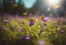 Small Wild Purple Flowers In Grass And Two Yellow Butterflies Soaring In Nature In Rays Of Sunlight