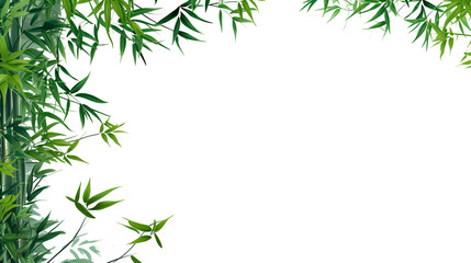  Bamboo leaves on white background with space for text
