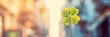 St Patrick's Day symbol and good luck charm, bright four-leaf clover against golden and sunny bokeh, background with room for text, soft focus.